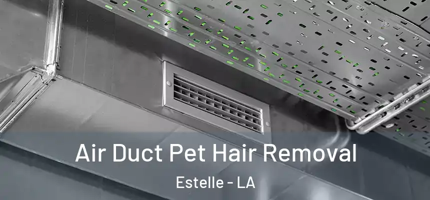  Air Duct Pet Hair Removal Estelle - LA