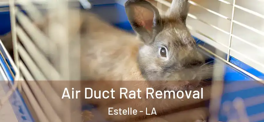  Air Duct Rat Removal Estelle - LA