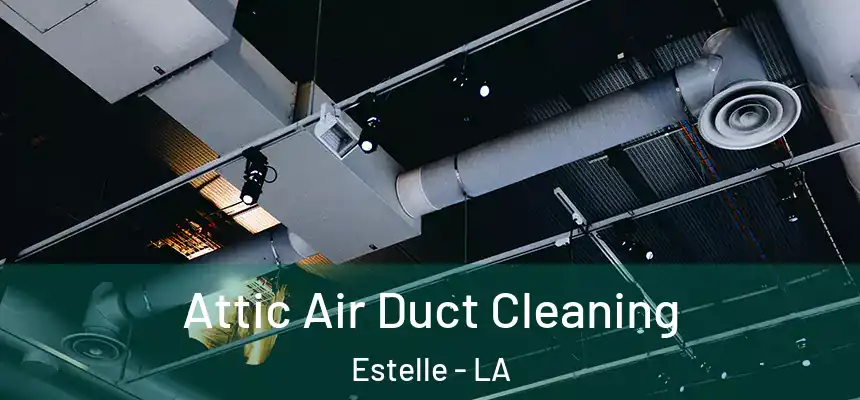  Attic Air Duct Cleaning Estelle - LA