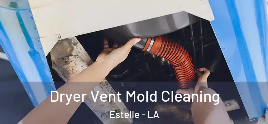  Dryer Vent Mold Cleaning Estelle - LA