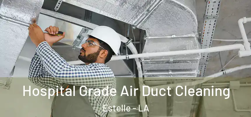 Hospital Grade Air Duct Cleaning Estelle - LA