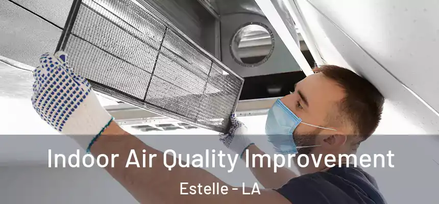  Indoor Air Quality Improvement Estelle - LA