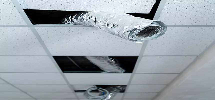 Affordable HVAC Sanitizing After Pest Removal in Estelle