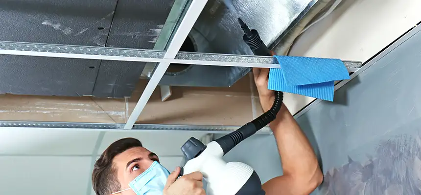 Our Air Duct Rodent Removal Services in Estelle, LA