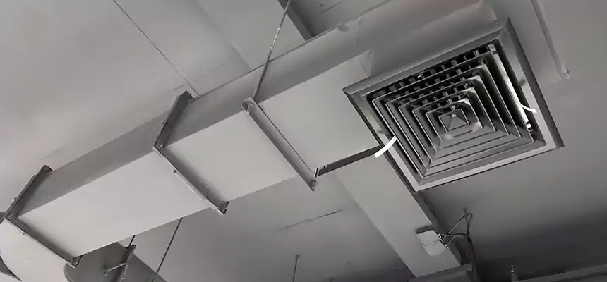 Restorative Allergy Relief Vent Cleaning – Coil, Blower & Housing Detail in Estelle