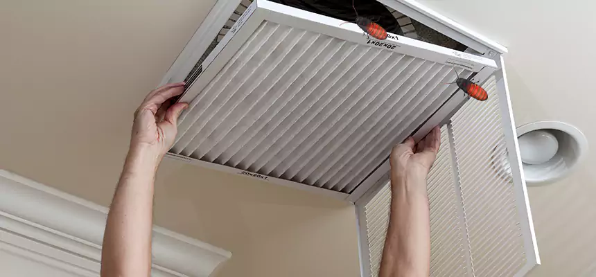 Our Insect Removal from Air Ducts Services in Estelle, LA