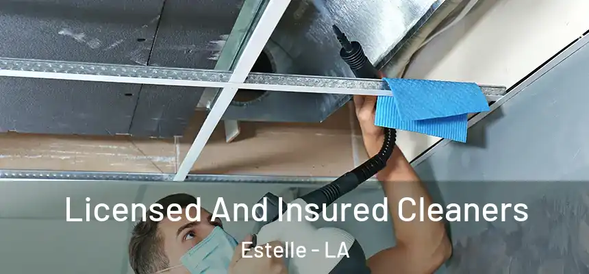  Licensed And Insured Cleaners Estelle - LA