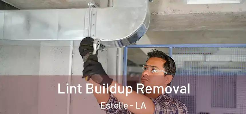  Lint Buildup Removal Estelle - LA