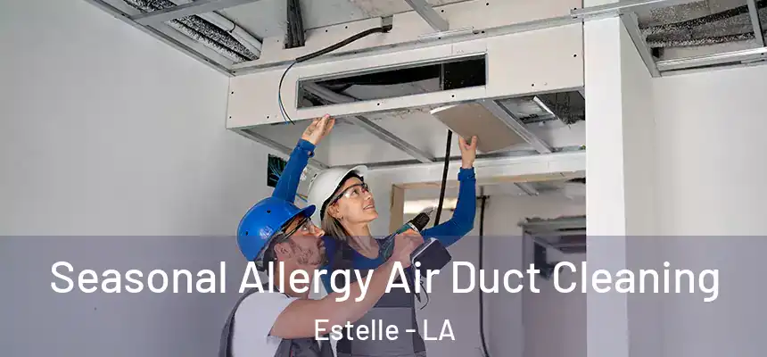  Seasonal Allergy Air Duct Cleaning Estelle - LA