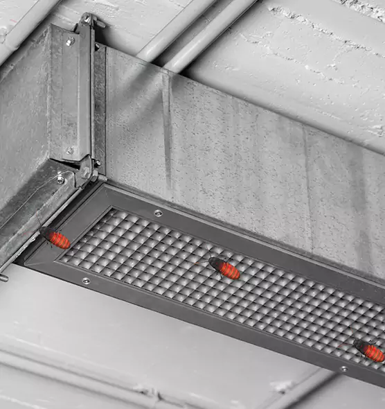 About Air Duct Cockroach Removal in Estelle, LA