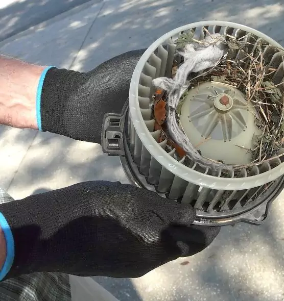 About Air Duct Rat Removal in Estelle, LA