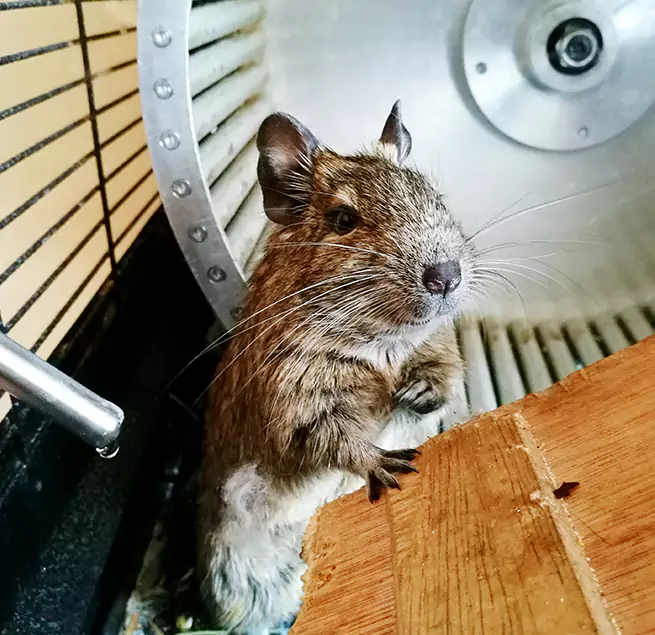 Why Homeowners & Businesses Trust Us Estelle, LA?