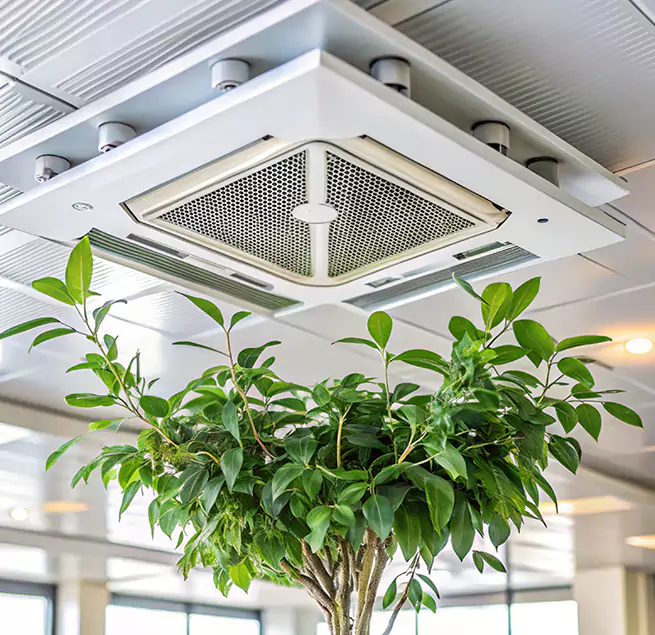 Why Homeowners & Businesses Trust Us in Estelle, LA?