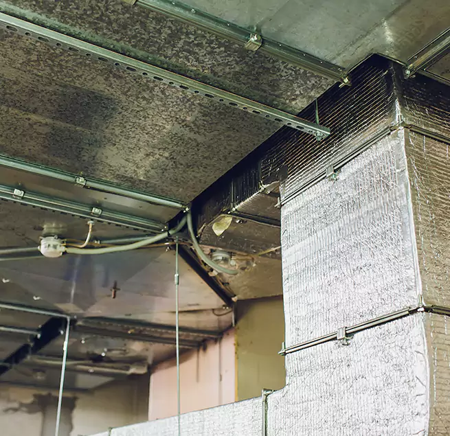 Why Homeowners & Businesses Trust Us in Estelle, LA?